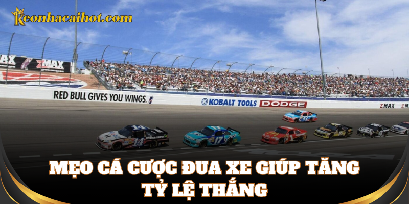 Kinh nghiệm chọn kèo cược đua xe chính xác từ chuyên gia