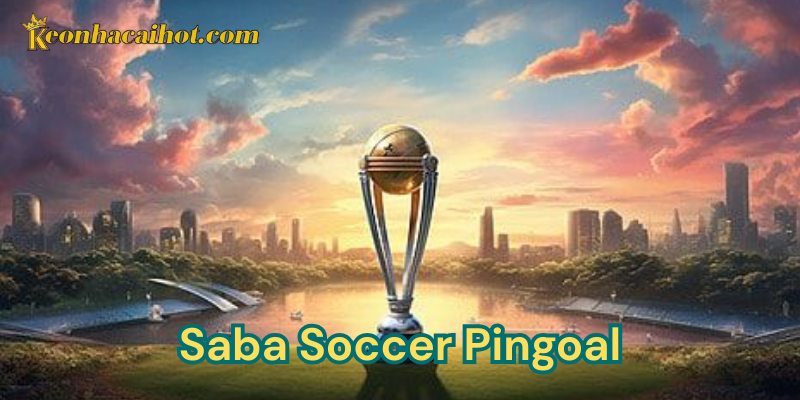 Saba Soccer Pingoal có ý nghĩa gì?