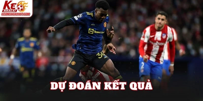 Dự đoán kết quả
