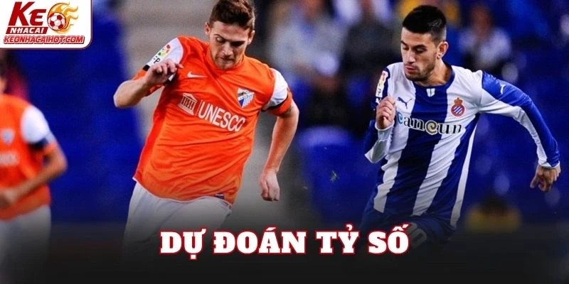 Dự đoán tỷ số